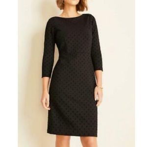 NWOT Velvet Dot Boatneck Sheath Dress